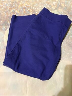 Loft Royal Blue Ponte pants size 10P